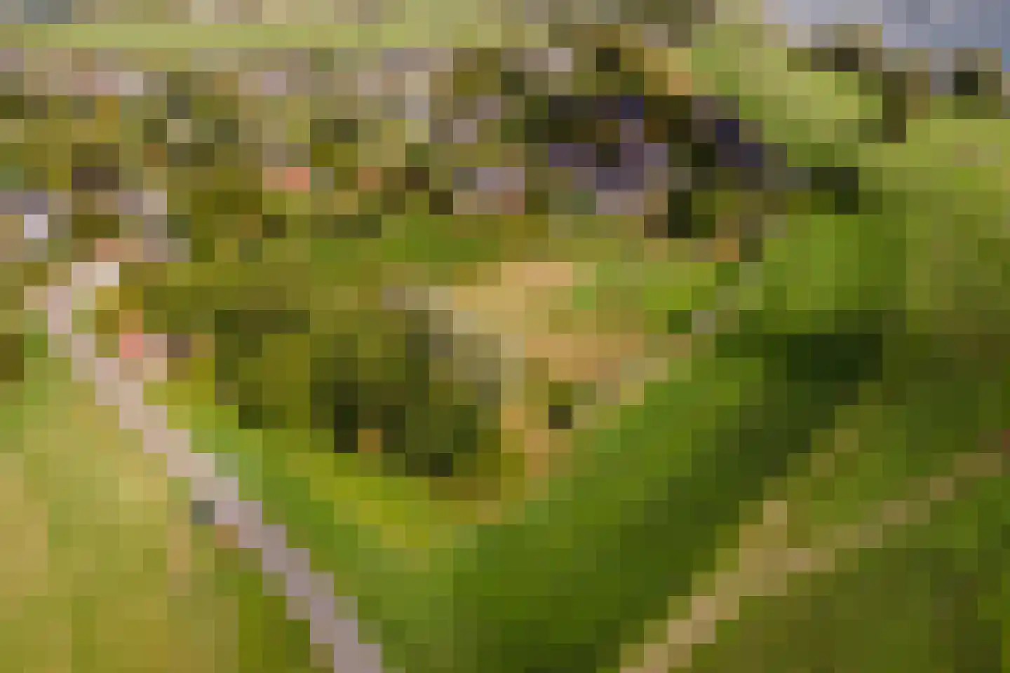 Pieterswaard Herwijnen thumbnail 8