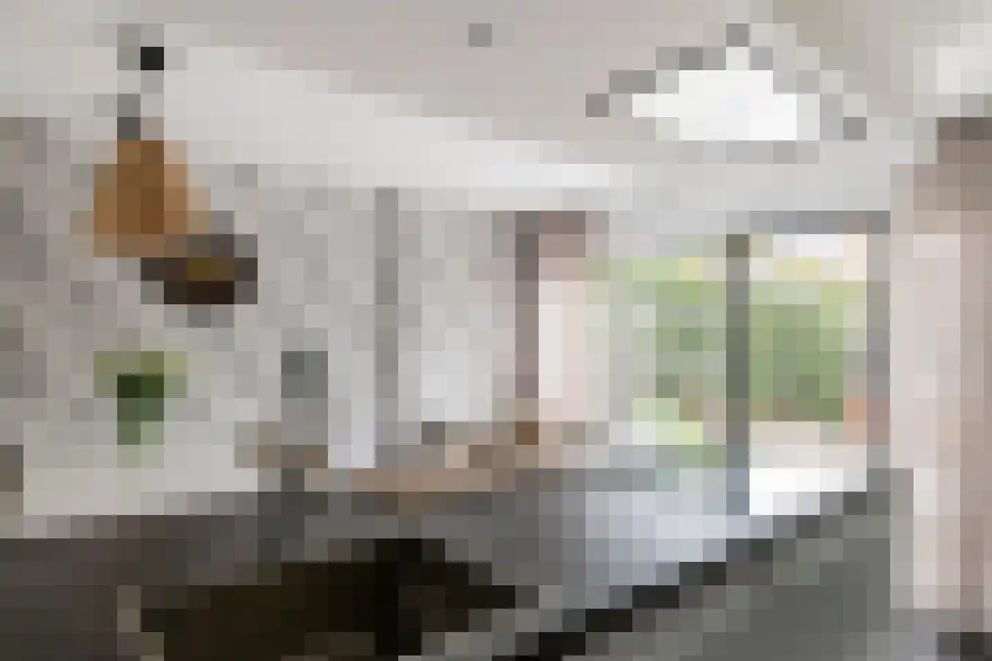 Pietje Baltusstraat 11 Beesd thumbnail 13