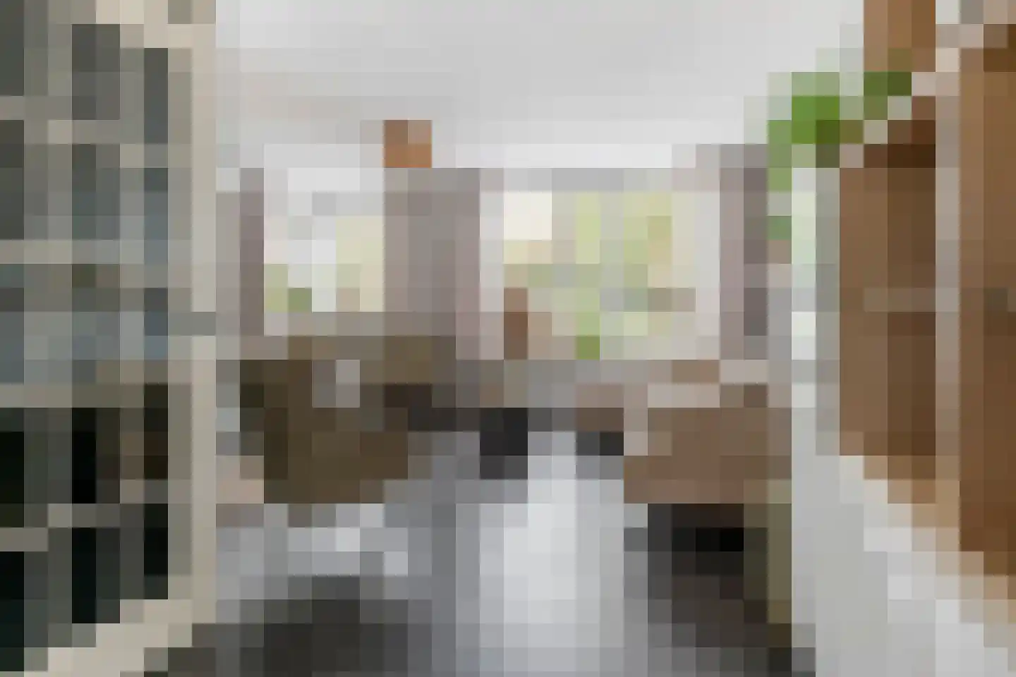 Pietje Baltusstraat 11 Beesd thumbnail 5