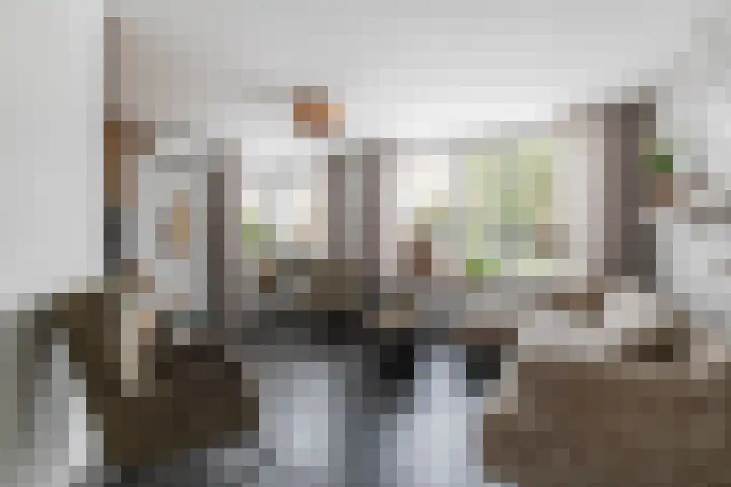 Pietje Baltusstraat 11 Beesd thumbnail 6