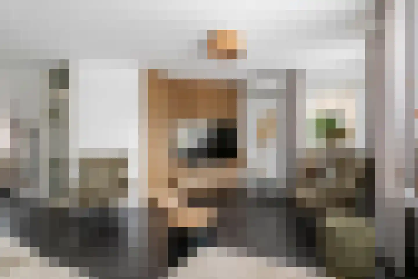 Pietje Baltusstraat 11 Beesd thumbnail 7