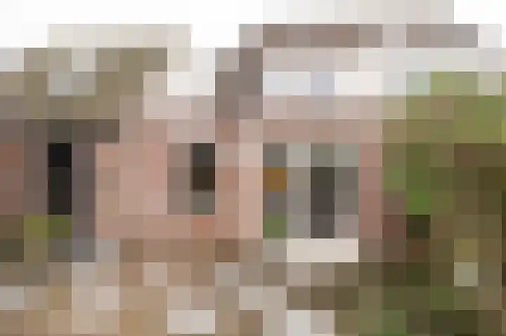 Pietje Baltusstraat 7 Beesd thumbnail 27