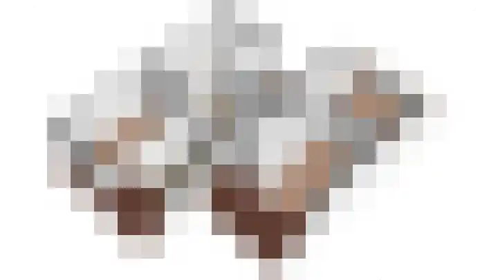 Pietje Baltusstraat 7 Beesd thumbnail 36