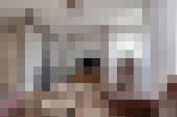 Pietje Baltusstraat 7 Beesd thumbnail 6