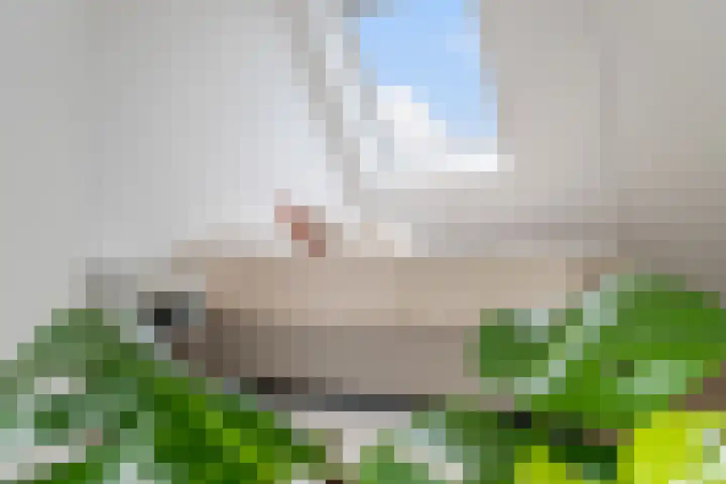 Pietje de Fluiterhof 11 Rotterdam thumbnail 30