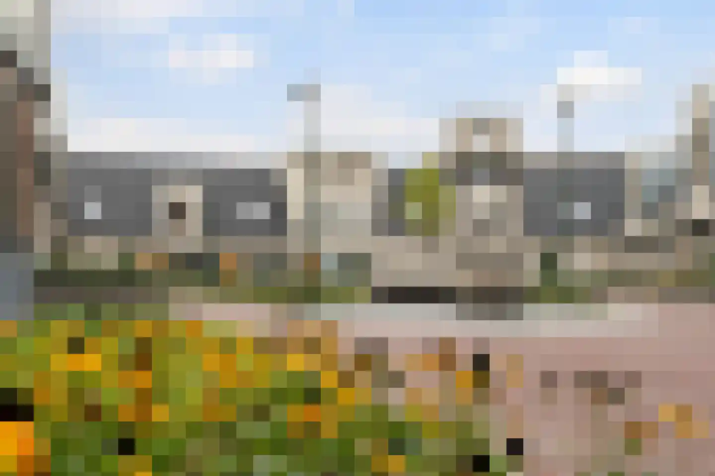 Pietje de Fluiterhof 11 Rotterdam thumbnail 6