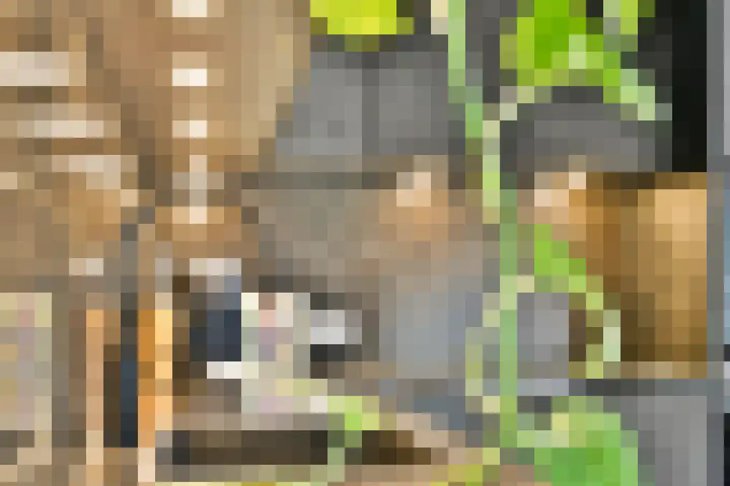 Pietje de Fluiterhof 15 Rotterdam thumbnail 15