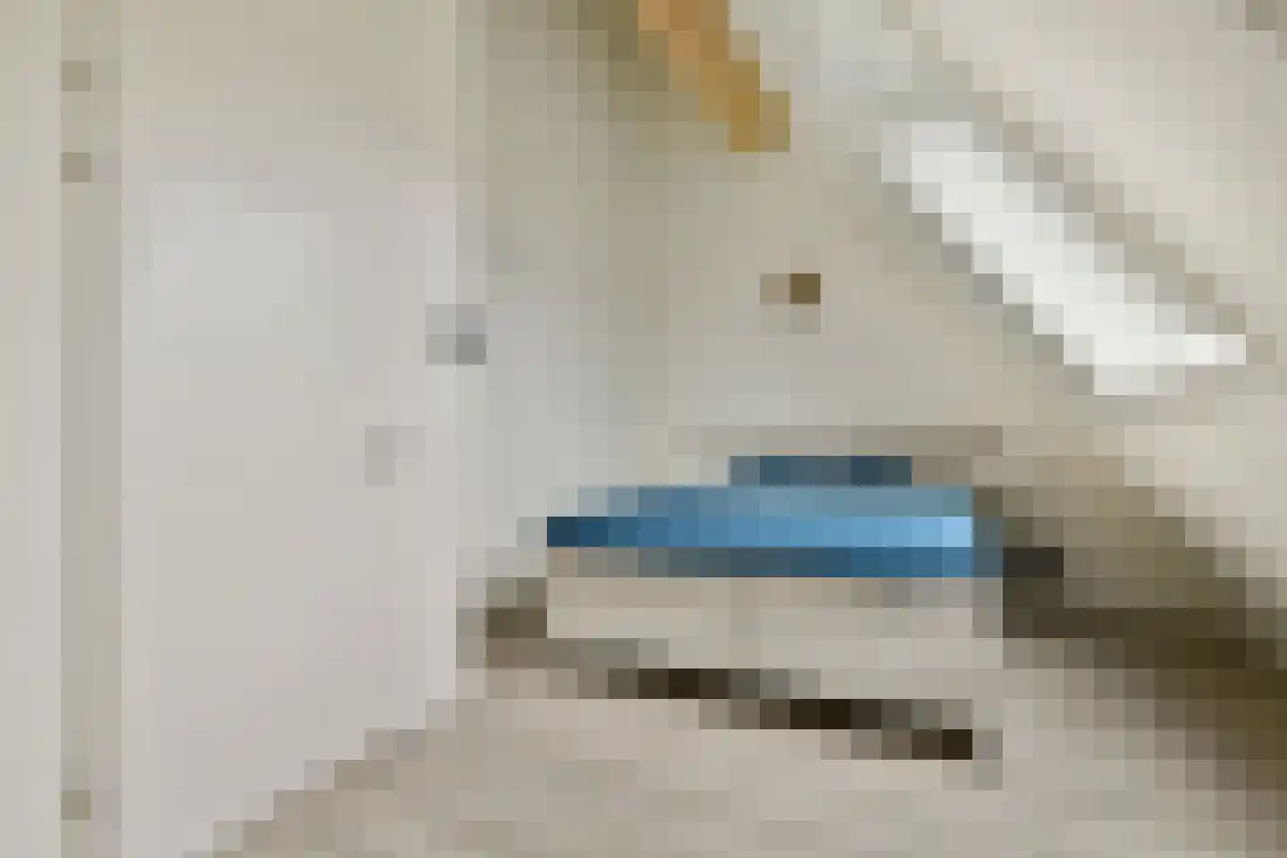 Pietje de Fluiterhof 15 Rotterdam thumbnail 22