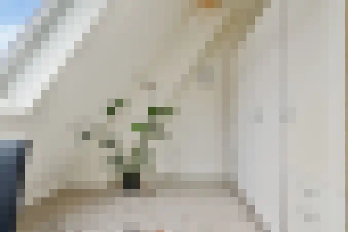 Pietje de Fluiterhof 15 Rotterdam thumbnail 26