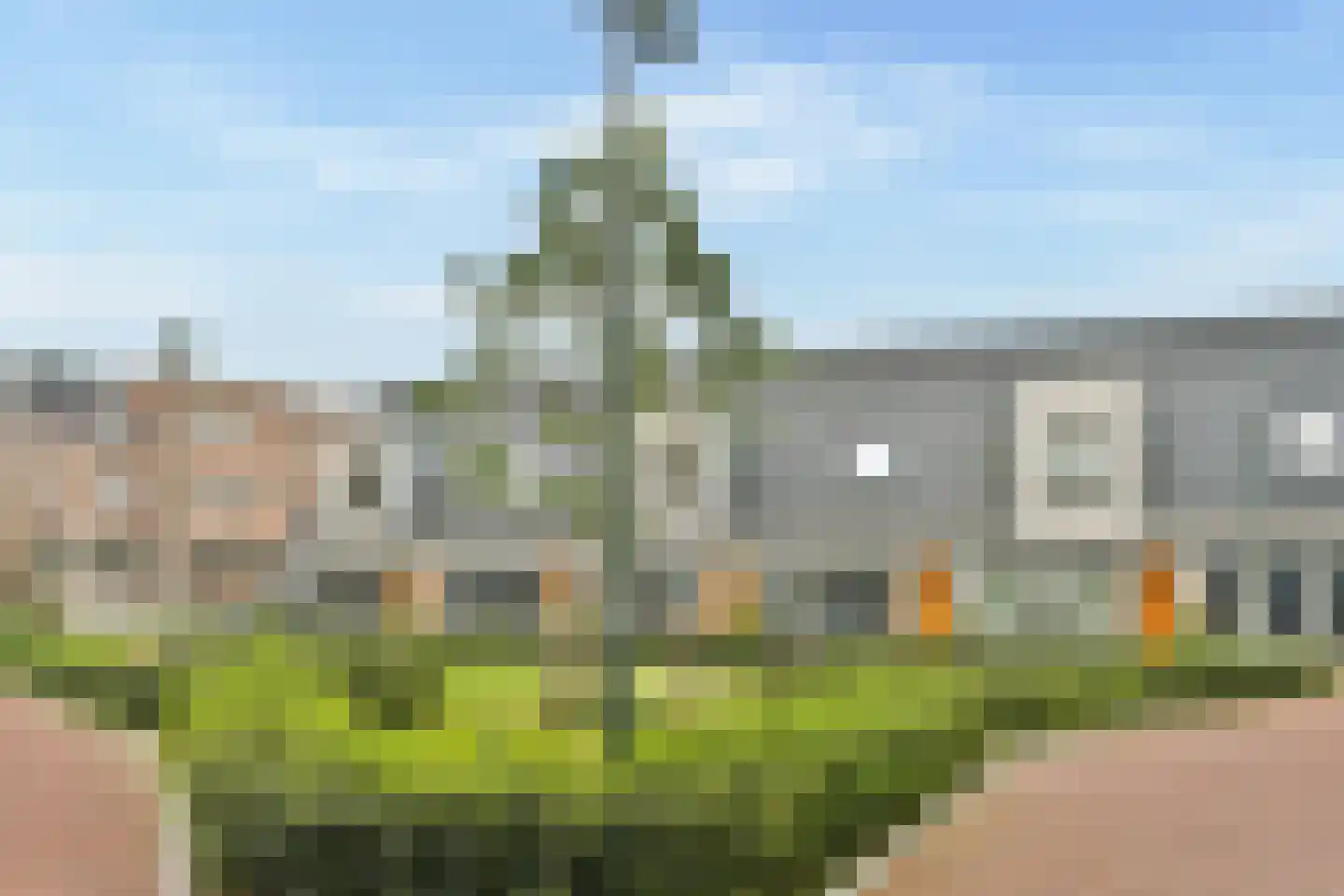 Pietje de Fluiterhof 15 Rotterdam thumbnail 28