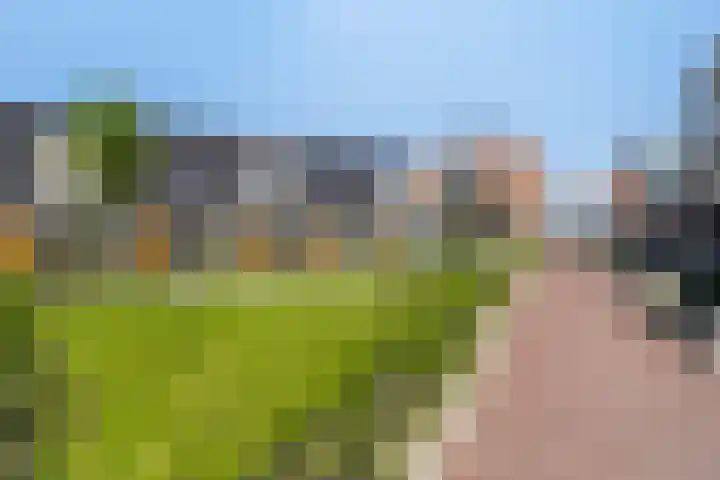 Pietje de Fluiterhof 4 Rotterdam thumbnail 17