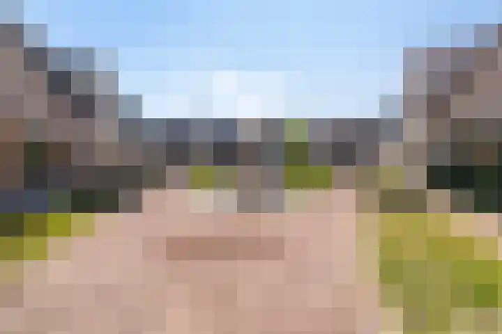 Pietje de Fluiterhof 4 Rotterdam thumbnail 18