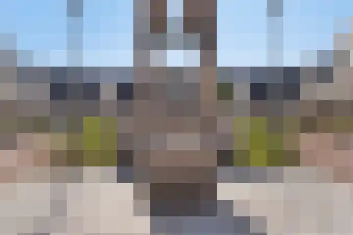 Pietje de Fluiterhof 4 Rotterdam thumbnail 19