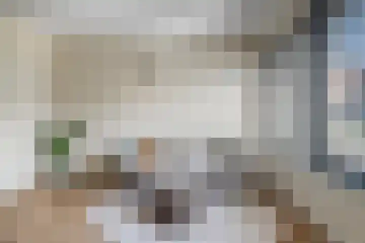 Pietje de Fluiterhof 4 Rotterdam thumbnail 4