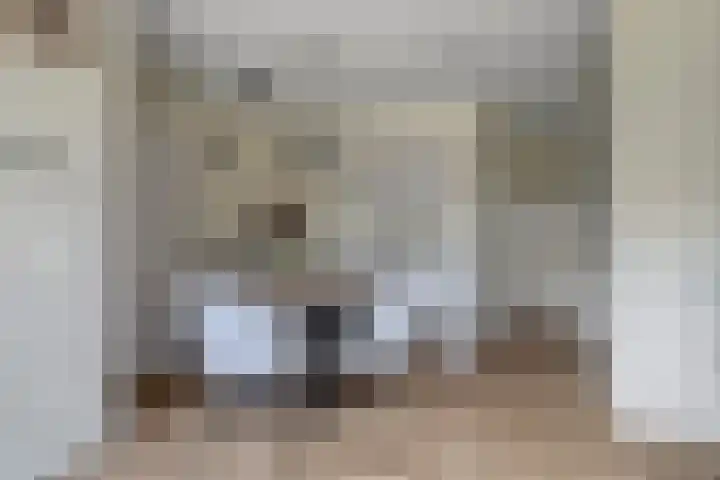 Pietje de Fluiterhof 4 Rotterdam thumbnail 6