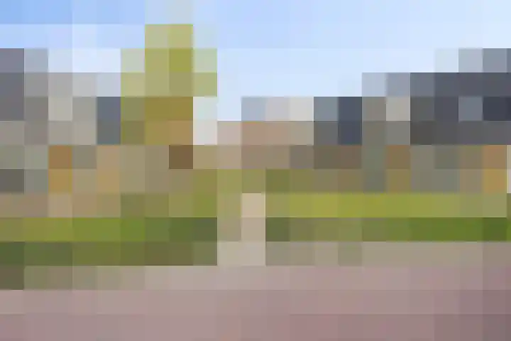 Pietje de Fluiterhof 9 Rotterdam thumbnail 17