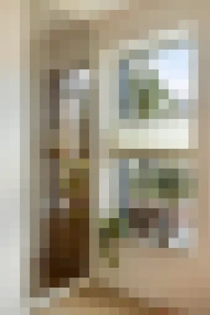 Pietje de Fluiterhof 9 Rotterdam thumbnail 5