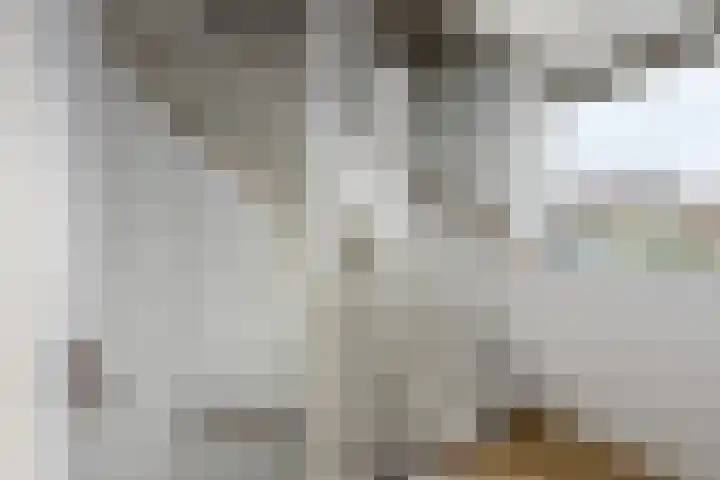 Pietje Pluisplantsoen 18 Almere thumbnail 23