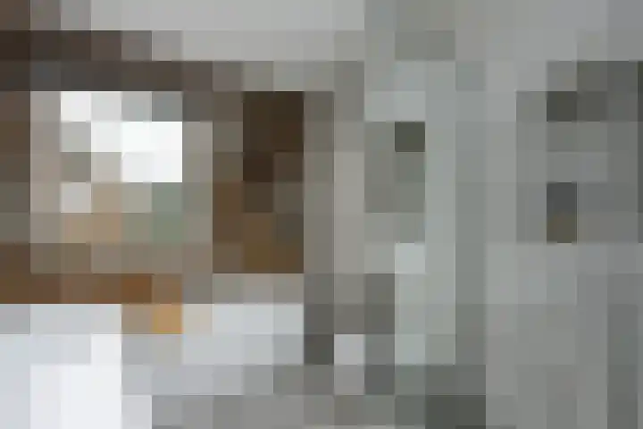 Pietje Pluisplantsoen 18 Almere thumbnail 34