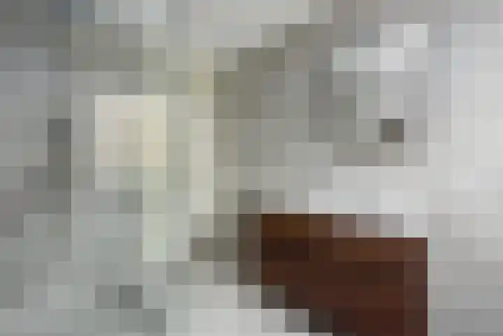 Pietje Pluisplantsoen 18 Almere thumbnail 37