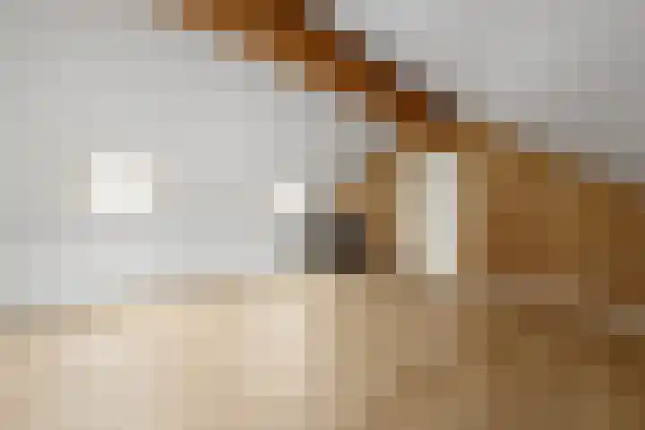 Pietje Pluisplantsoen 18 Almere thumbnail 42
