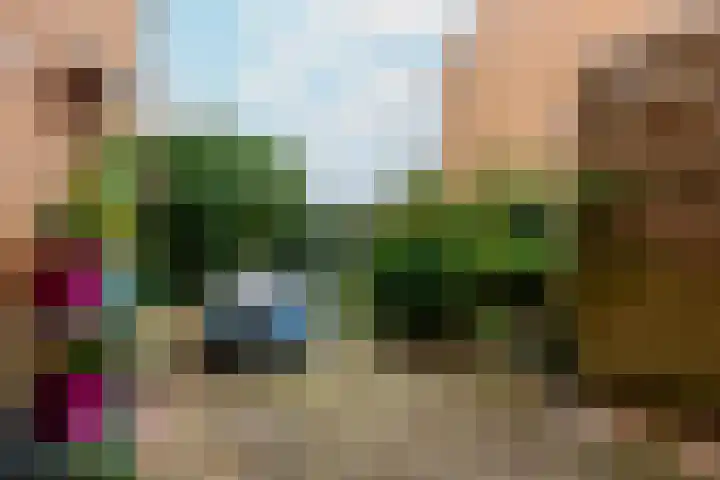 Pietje Pluisplantsoen 18 Almere thumbnail 45
