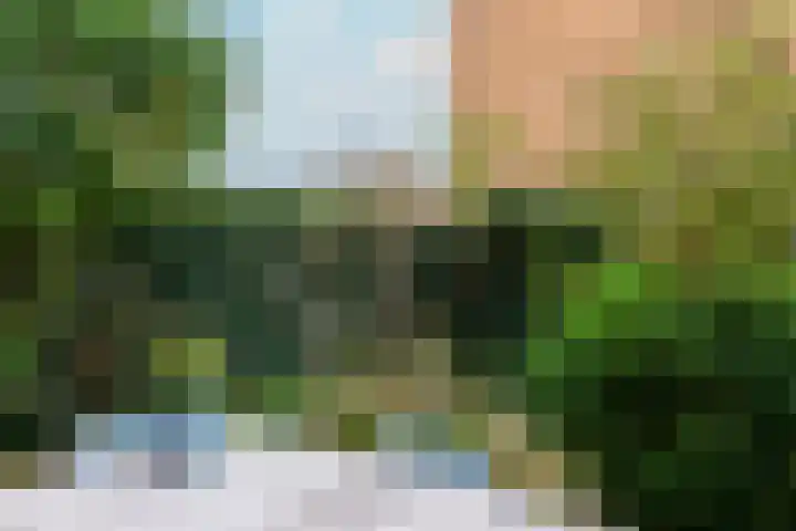 Pietje Pluisplantsoen 18 Almere thumbnail 47