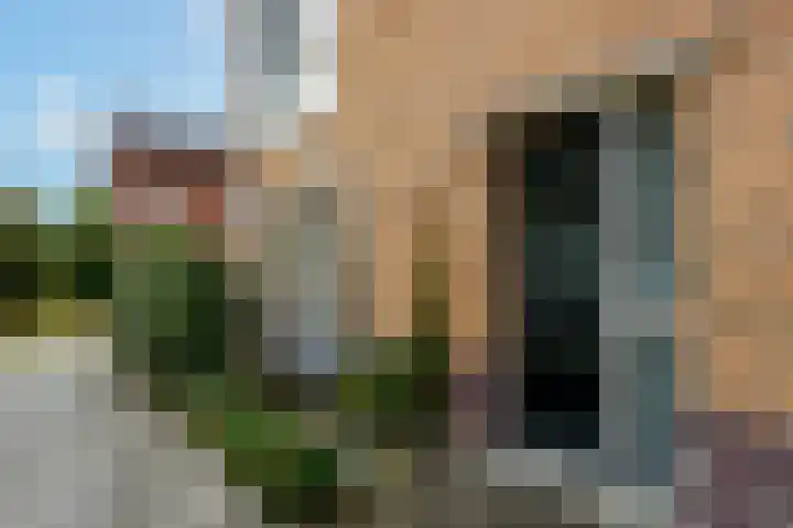 Pietje Pluisplantsoen 18 Almere thumbnail 5