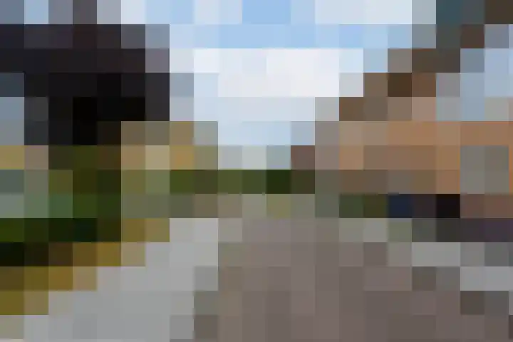 Pietje Pluisplantsoen 18 Almere thumbnail 51