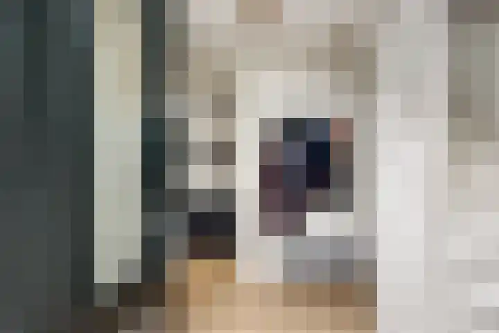 Pietje Pluisplantsoen 18 Almere thumbnail 7