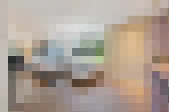 Pietjeshof 11 Maasbracht thumbnail 10