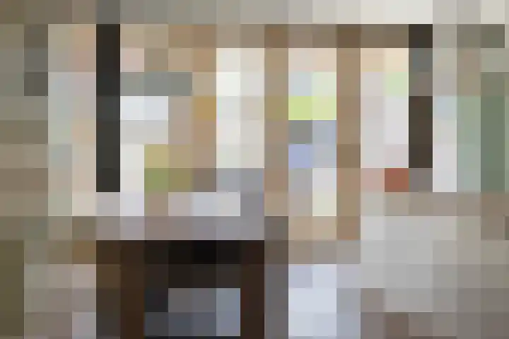 Pietjeshof 11 Maasbracht thumbnail 12