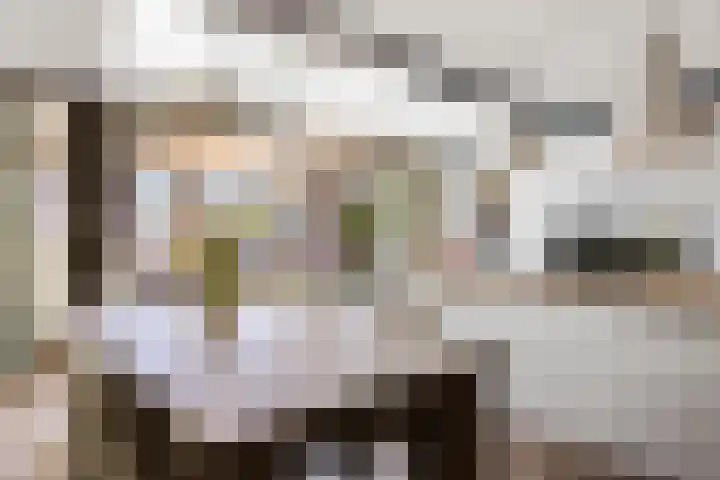 Pietjeshof 11 Maasbracht thumbnail 13