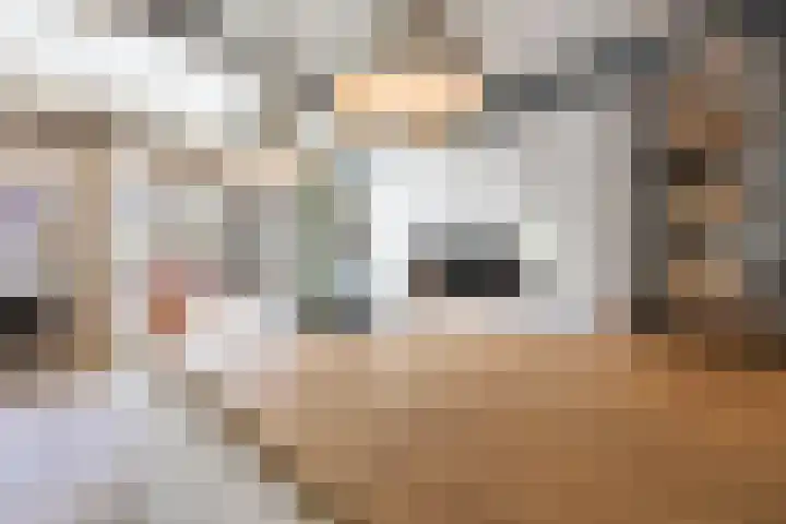 Pietjeshof 11 Maasbracht thumbnail 17
