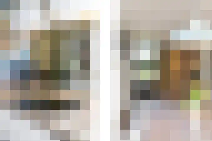 Pietjeshof 11 Maasbracht thumbnail 22
