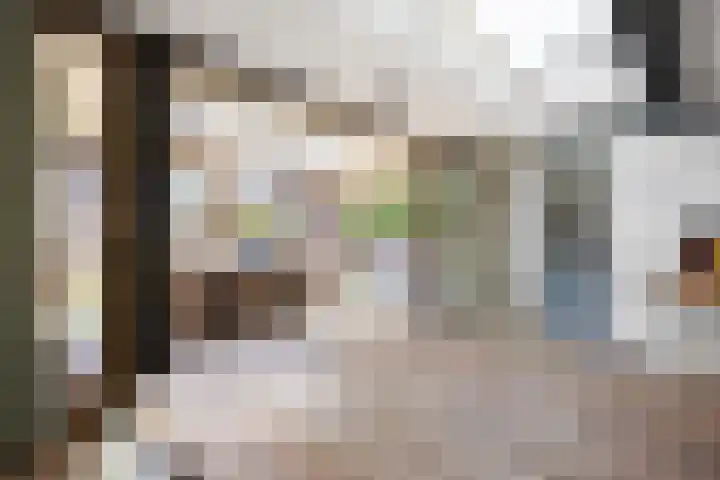 Pietjeshof 11 Maasbracht thumbnail 23