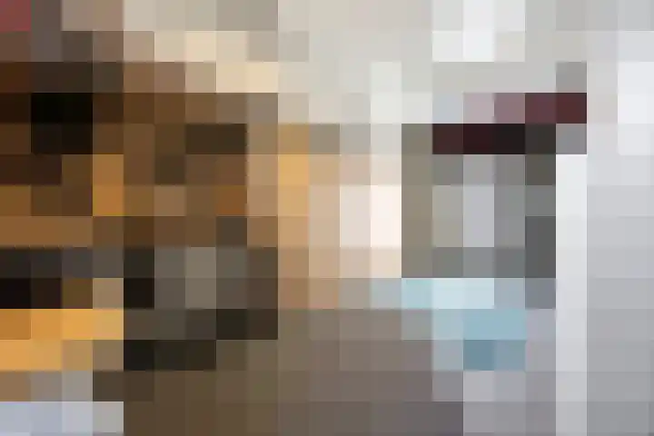 Pietjeshof 11 Maasbracht thumbnail 24