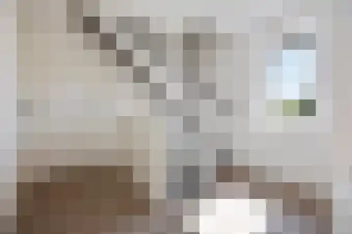 Pietjeshof 11 Maasbracht thumbnail 25