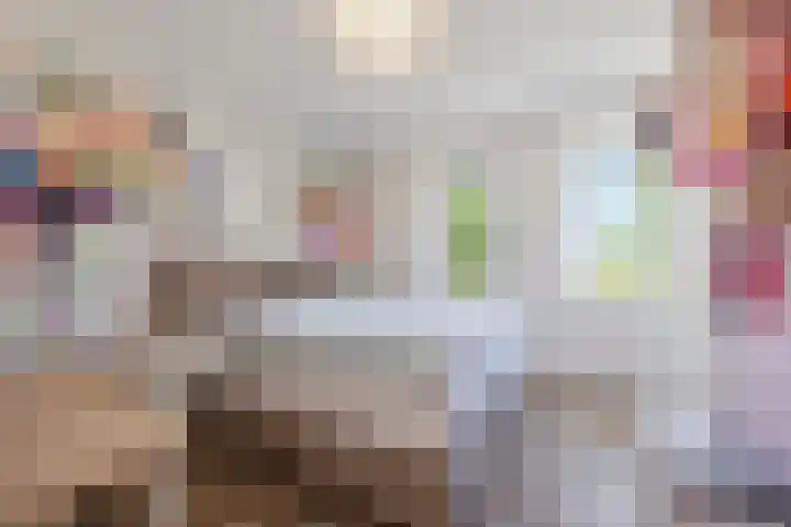 Pietjeshof 11 Maasbracht thumbnail 28