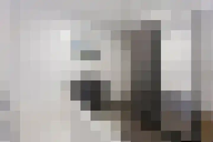 Pietjeshof 11 Maasbracht thumbnail 31