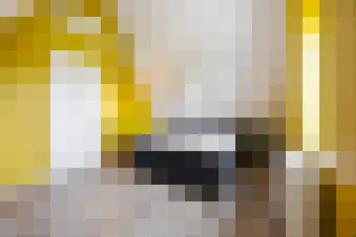 Pietjeshof 11 Maasbracht thumbnail 35