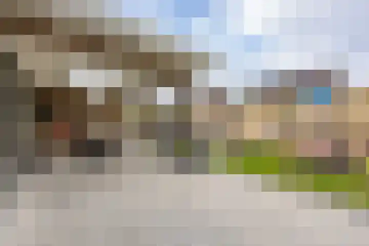 Pietjeshof 11 Maasbracht thumbnail 38