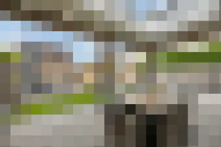 Pietjeshof 11 Maasbracht thumbnail 39