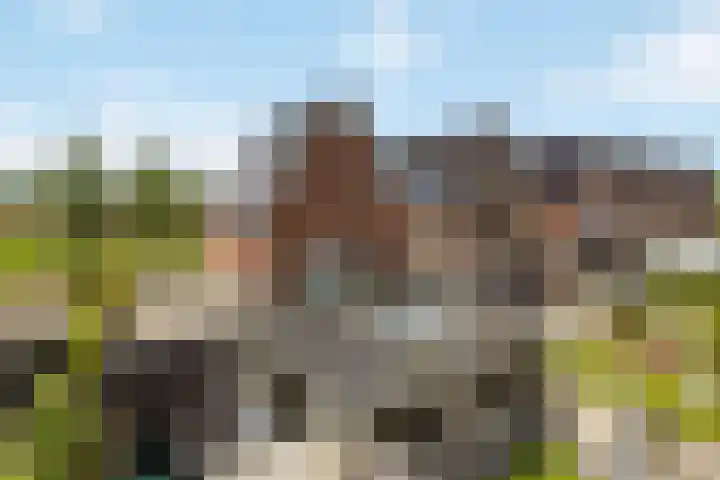 Pietjeshof 11 Maasbracht thumbnail 4