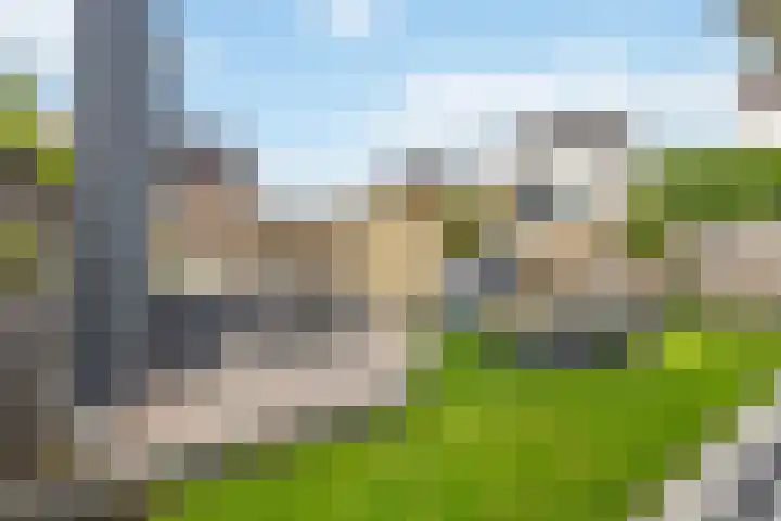 Pietjeshof 11 Maasbracht thumbnail 40