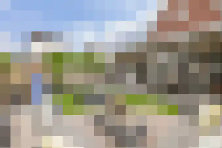 Pietjeshof 11 Maasbracht thumbnail 41