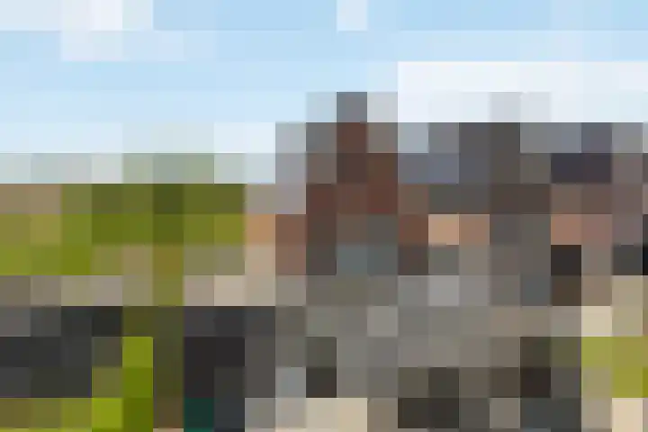 Pietjeshof 11 Maasbracht thumbnail 44