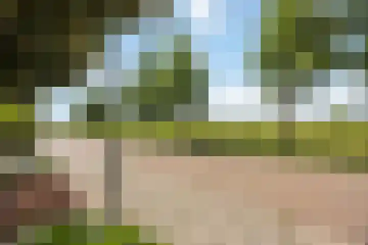 Pietjeshof 11 Maasbracht thumbnail 45