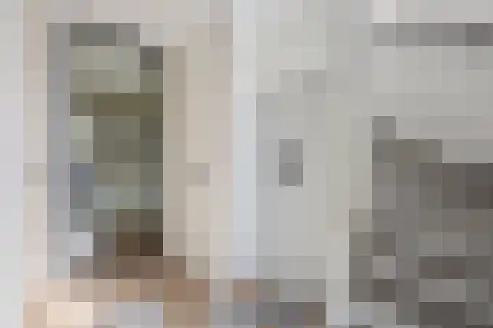 Pietjeshof 11 Maasbracht thumbnail 6