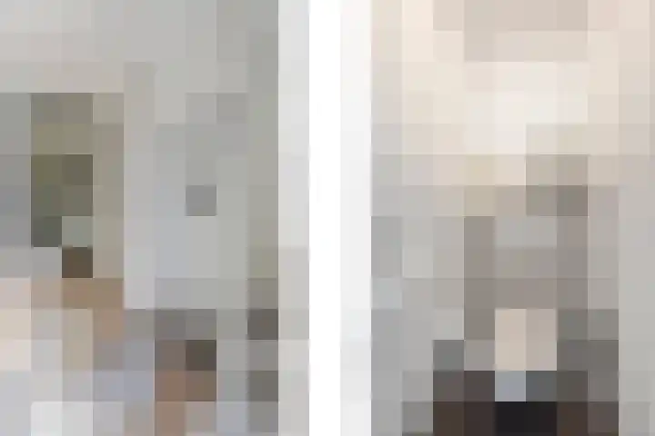 Pietjeshof 11 Maasbracht thumbnail 7